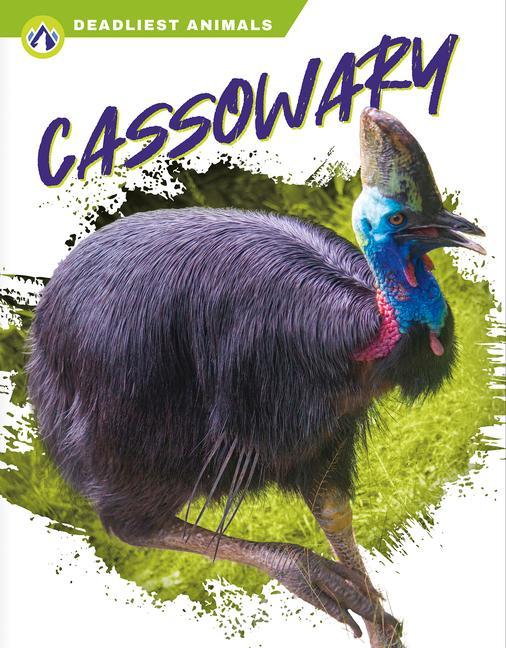Könyv Deadliest Animals: Cassowary Connor Stratton