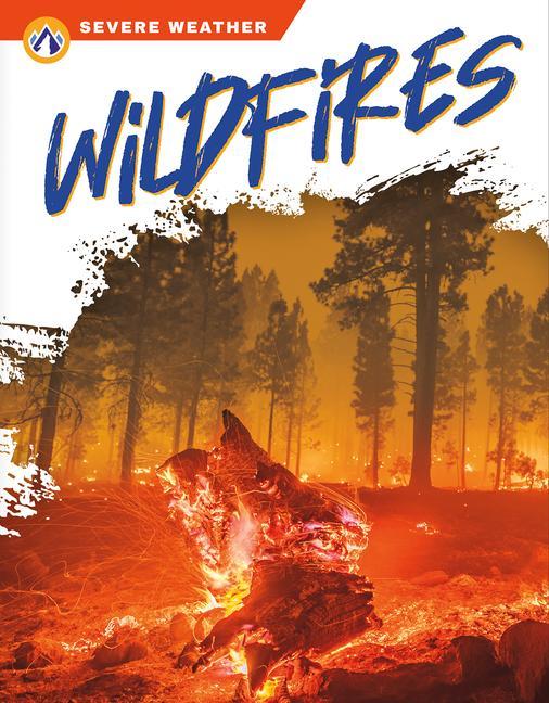 Knjiga Severe Weather: Wildfires Candice Ransom