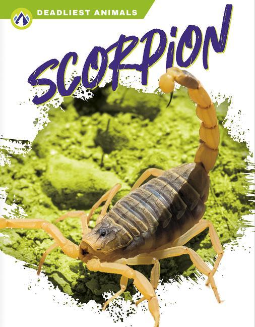 Book Deadliest Animals: Scorpion Rachel Hamby