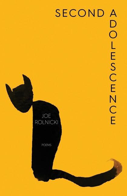 Knjiga Second Adolescence Joe Rolnicki