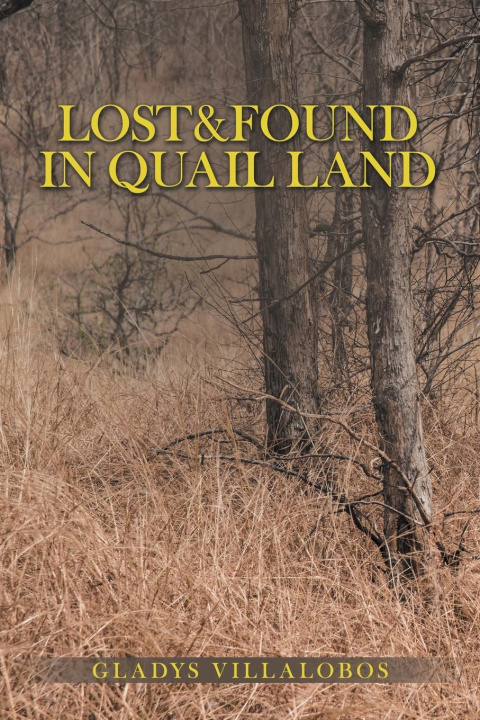 Knjiga Lost&Found in Quail Land Gladys Villalobos
