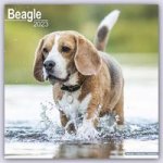 Календар/тефтер Beagle 2023 Wall Calendar 