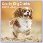 Календар/тефтер Cavalier King Charles Spaniel 2023 Wall Calendar 