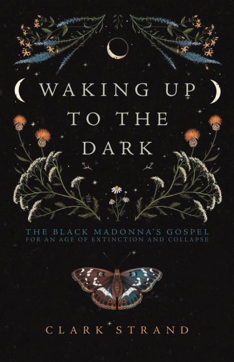 Книга Waking Up to the Dark Perdita Finn