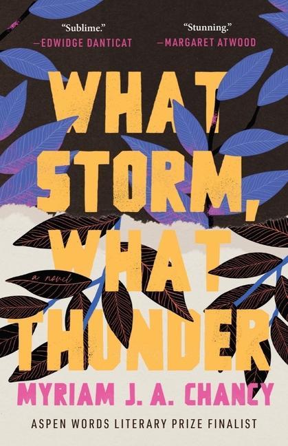 Könyv What Storm, What Thunder 