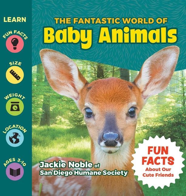 Kniha Fantastic World of Baby Animals Puppy Dogs & Ice Cream