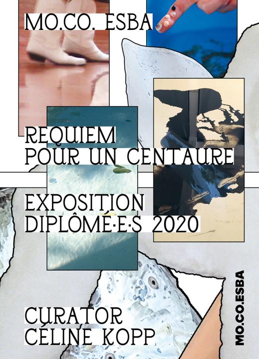 Βιβλίο Requiem pour un centaure Calipel