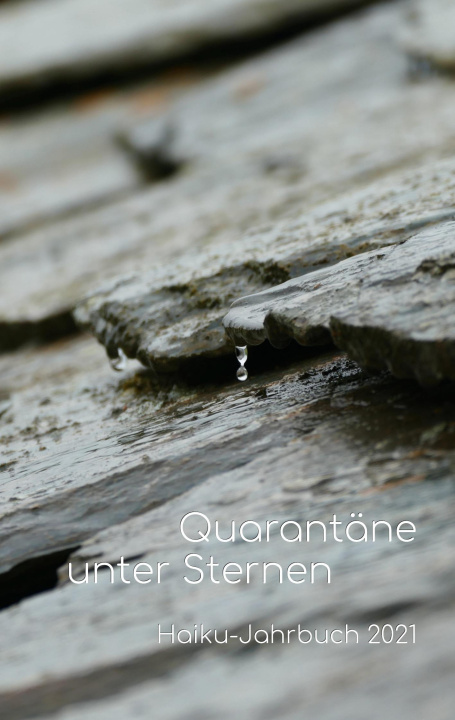 Knjiga Quarantane unter Sternen Volker Friebel