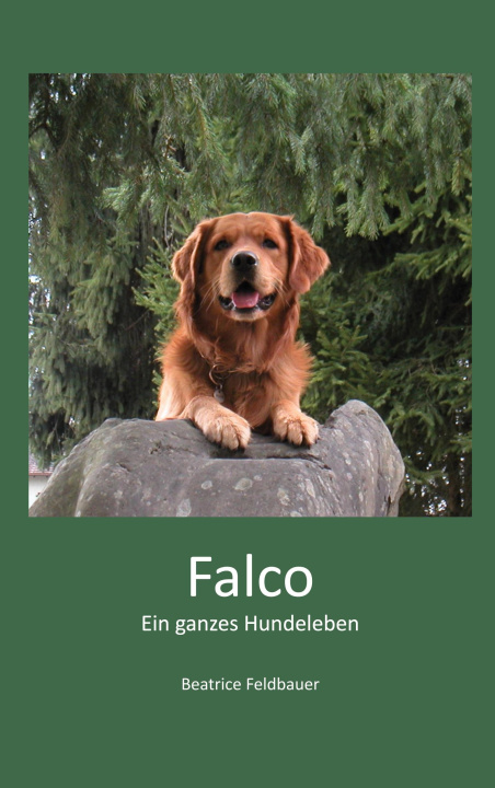 Book Falco Beatrice Feldbauer
