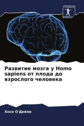 Carte Razwitie mozga u Homo sapiens ot ploda do wzroslogo cheloweka 