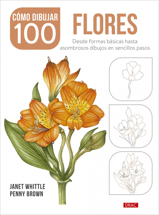 Kniha Cómo dibujar 100 flores JANET WHITTLE