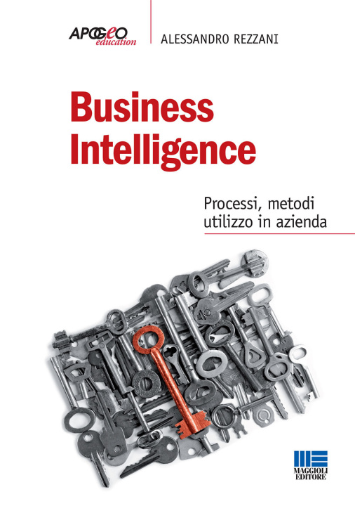 Kniha Business intelligence Alessandro Rezzani