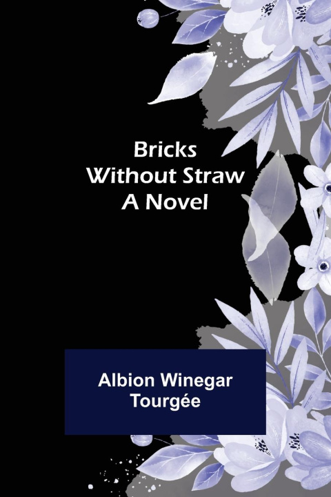 Knjiga Bricks Without Straw Albion Winegar Tourgée