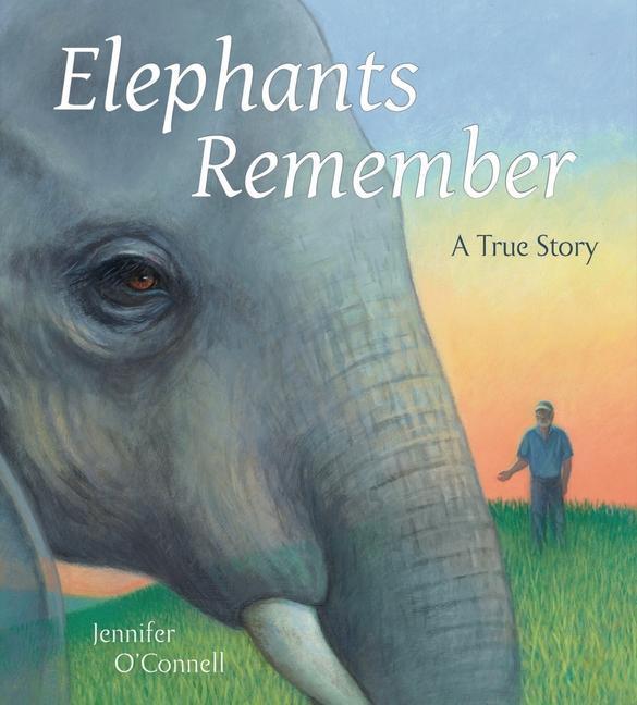 Kniha Elephants Remember Jennifer O`connell