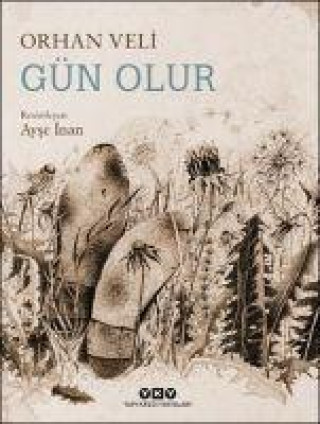 Knjiga Gün Olur 