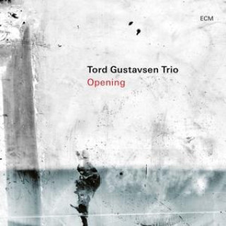 Аудио Tord Gustavsen Trio: Opening 