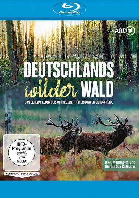 Video Deutschlands wilder Wald: Das geheime Leben der Rothirsche & Naturwunder Schorfheide Stefan Kaminski