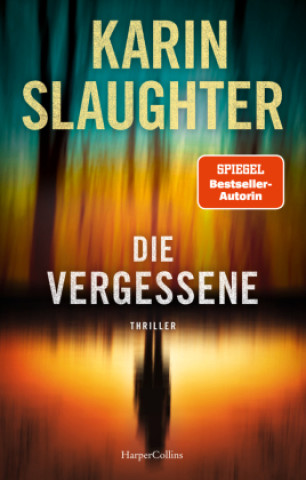 Книга Die Vergessene Karin Slaughter