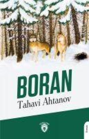 Knjiga Boran 