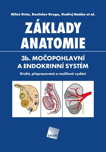 Kniha Základy anatomie 3b. Miloš Grim; Rastislav Druga; Ondřej Naňka