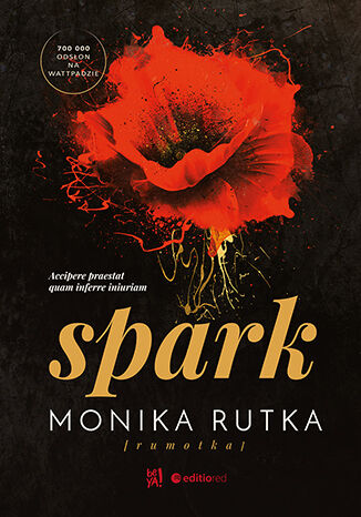 Könyv Spark Rutka Monika