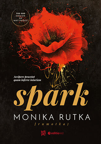 Livre Spark Rutka Monika