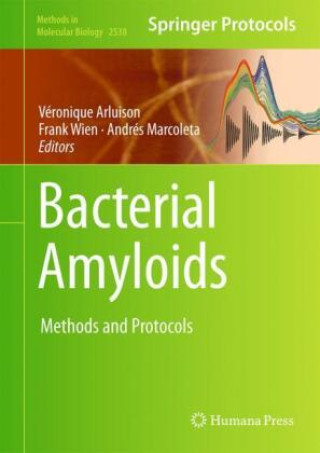 Buch Bacterial Amyloids Véronique Arluison