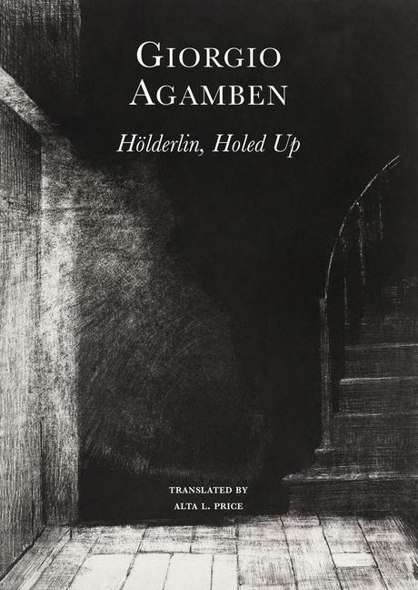 Kniha Hoelderlin's Madness - Chronicle of a Dwelling Life, 1806-1843 Giorgio Agamben
