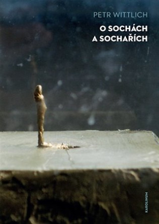 Kniha O sochách a sochařích Petr Wittlich