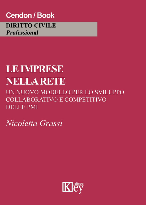 Книга imprese nella rete. Un nuovo modello per lo sviluppo collaborativo e competitivo delle PMI Nicoletta Grassi