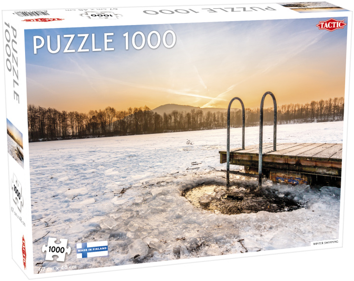 Kniha Puzzle 1000 Winter Swimming 