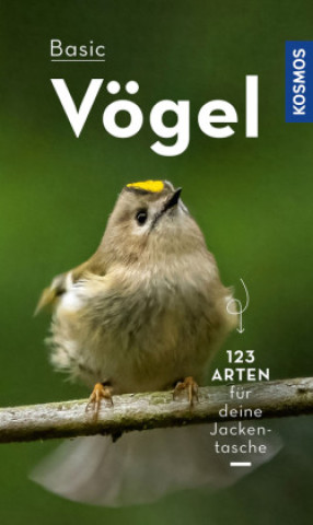 Kniha BASIC Vögel 