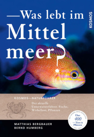 Книга Was lebt im Mittelmeer? Matthias Bergbauer