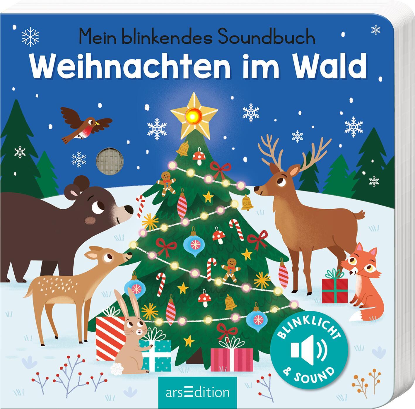 Kniha Mein blinkendes Soundbuch - Weihnachten im Wald Kasia Dudziuk