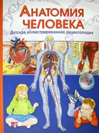 Könyv Анатомия человека. Детская иллюстрированная энциклопедия 