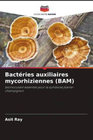 Könyv Bactéries auxiliaires mycorhiziennes (BAM) 