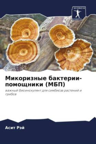 Boek Mikoriznye bakterii-pomoschniki (MBP) Asit Räj