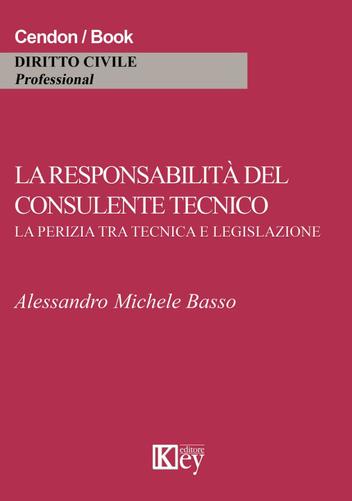Kniha responsabilità del consulente tecnico. La perizia tra tecnica e legislazione Alessandro M. Basso