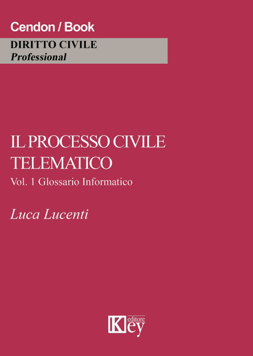 Книга processo civile telematico. Glossario informatico Luca Lucenti