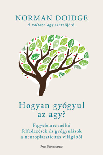 Книга Hogyan gyógyul az agy? Norman Doidge