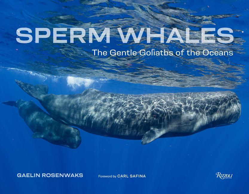Kniha Sperm Whales Carl Safina