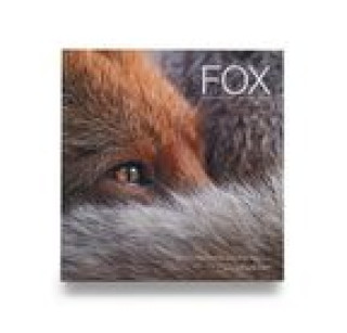 Livro Fox Matt Maran