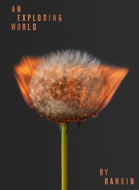 Knjiga Exploding World 