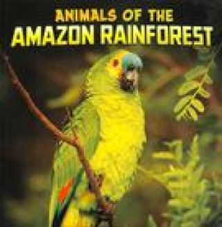 Kniha Animals of the Amazon Rainforest 