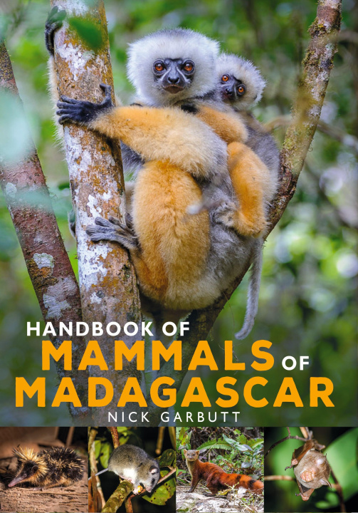 Kniha Handbook of Mammals of Madagascar 
