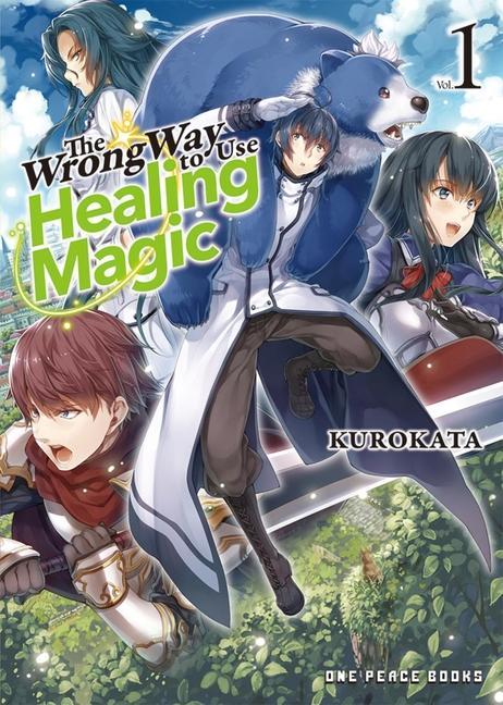 Book Wrong Way To Use Healing Magic Volume 1 Kugayama Reki