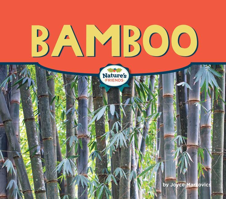 Kniha Bamboo 