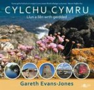 Kniha Cylchu Cymru Olwen Fowler