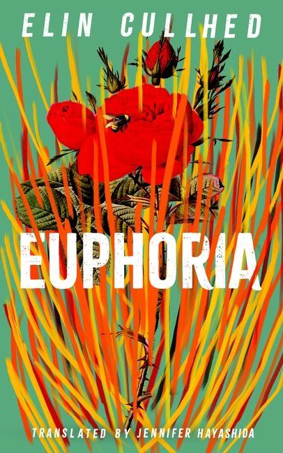 Book Euphoria Jennifer Hayashida