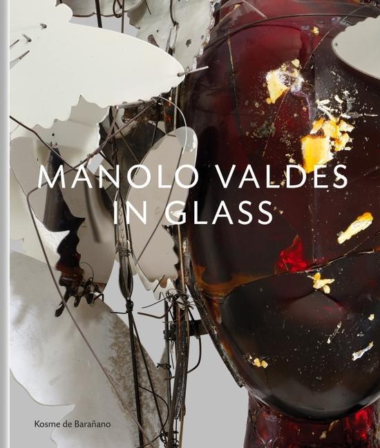 Kniha Manolo Valdes - in Glass Kosme de Bara?ano